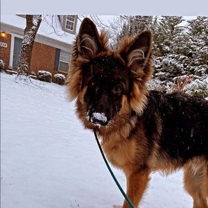 Meet your Posher, Nick